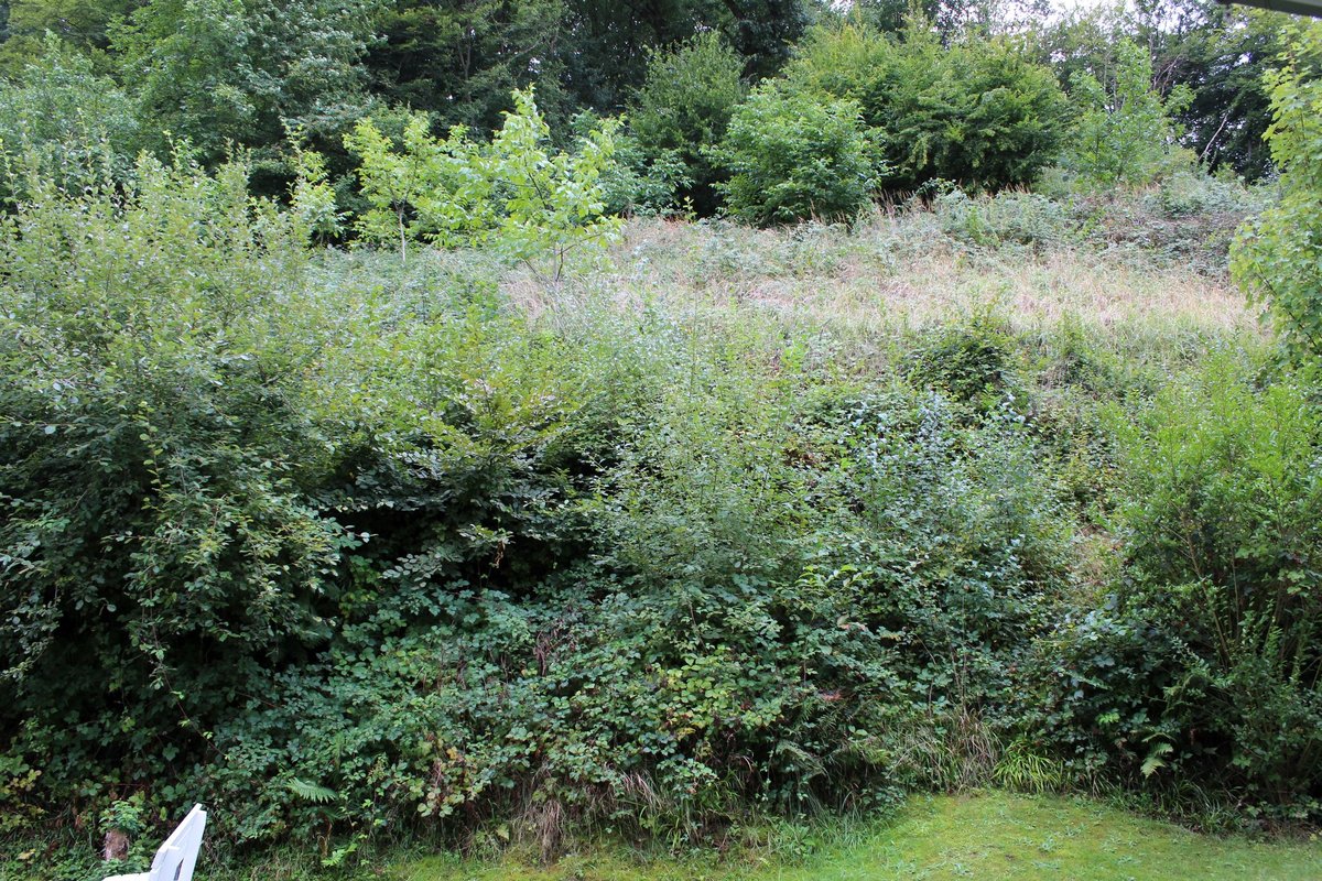 Schöne 2-Zimmer-Terassenwohnung in ruhiger Lage von Bad Bodendorf - Foto 5
