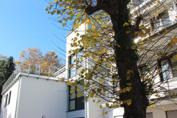 Zweitbezug! Exklusive Penthouse Wohnung mit großer, sonniger Dachterrasse!, 53227 Bonn, Penthousewohnung