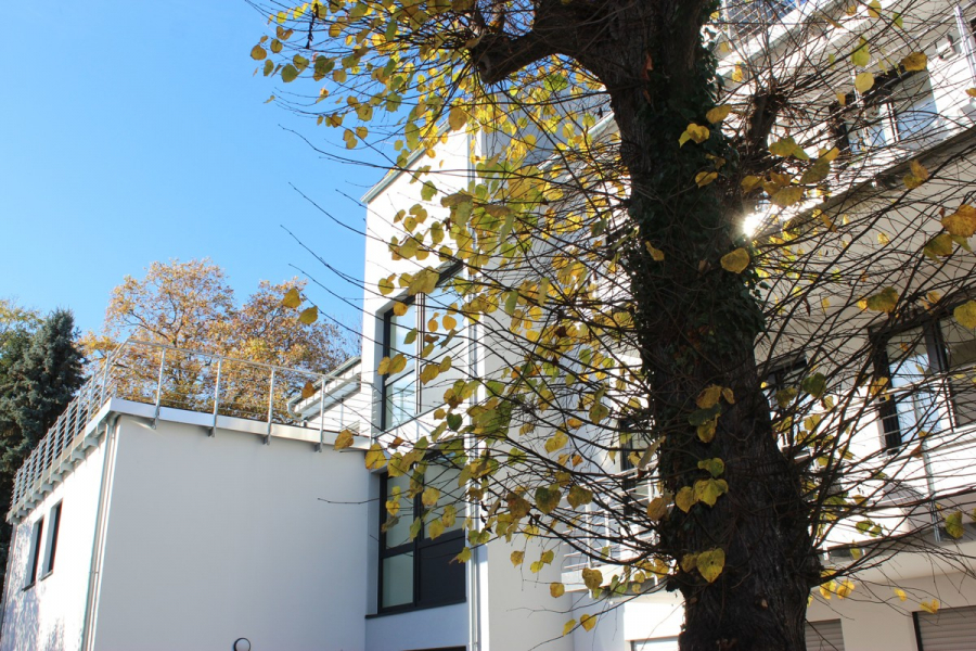 Zweitbezug! Exklusive Penthouse Wohnung mit großer, sonniger Dachterrasse! - Gebäudeansicht mit Dachterrasse